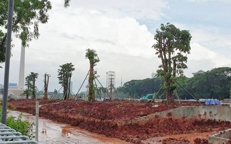 Mencari Keberadaan Tebangan Pohon Hasil Revitalisasi Monas