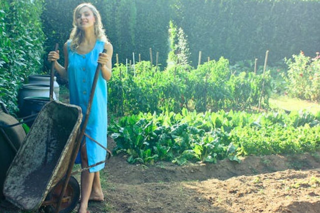 9 Plants et insectes d'expulsion dans le village de Rouman, quoi?