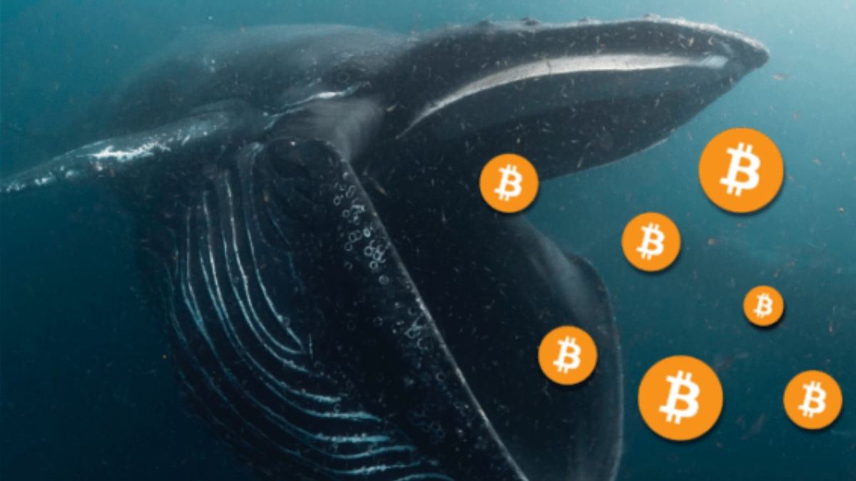 クジラビットコインコインベースプロから48,000 BTCを転送します、このサインは何ですか?