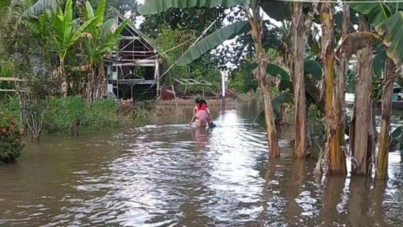 あふれる川、ケタパンの13の村、西カリマンタン洪水