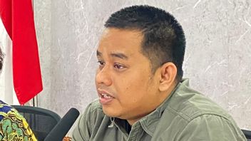 バリ島マフィア対策委員会の委員長が衝撃的な事実を明らかに:公証人や弁護士が参加