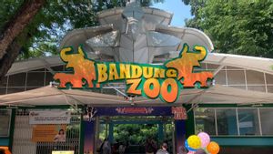 Operasional Bandung Zoo Berpeluang Ditutup Usai Pertemuan Pemkot Bandung-Pemrov Jabar