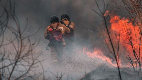 In 5 Years, Walhi Noted That Forest Fires In South Sumatra Reached 1 Million Hectares