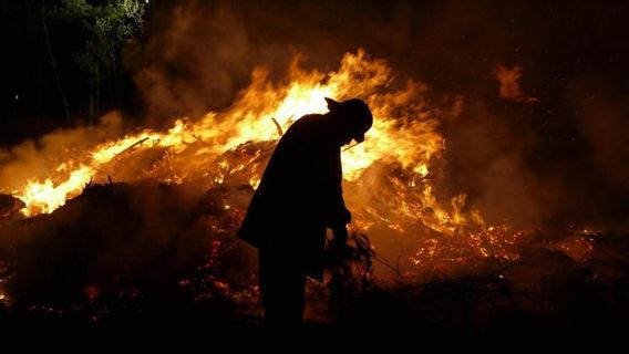 Les chutes d’Oregon, aux États-Unis, ne sont pas en mesure de surcharger les 132,000 hectares de terres en feu, mais seulement 5% peuvent être contrôlés.