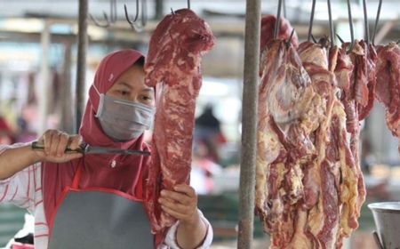 Stok Daging Sapi dan Kerbau Kurang Jelang Ramadan dan Idulfitri, Badan Pangan Minta ID FOOD dan Bulog Percepat Impor