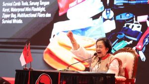 Megawati Desak Pemerintah Petakan Daerah Rawan Banjir di Sumatera Agar Tak Berulang