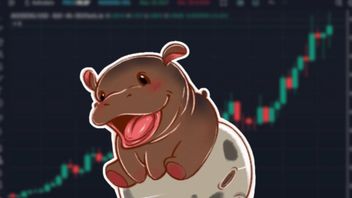 Memecoin Moo Deng Melonjak Setelah Listing di Coinbase