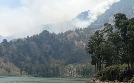 Kebakaran di Jalur Pendakian Senaru Gunung Rinjani Sudah Padam