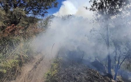 Kebakaran Lahan Terjadi di Kawasan Savana Widodaren Bromo