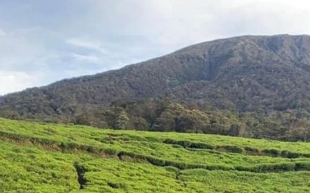 Erupsi dengan Lontaran Abu 2.000 Meter, PVMBG Imbau Warga Jauhi Kawah Gunung Dempo Sumsel