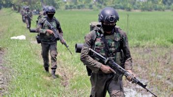 TNI兵士は法律に違反していない、アンディカ司令官は真剣にこの問題を監視