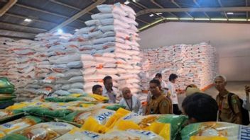 Pj حاكم كاليمانتان الشرقية: مخزونات الأرز آمنة حتى العيد