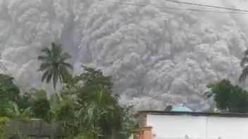 BNPB Deploys TRC And Pushes Logistics For Emergency Management Of Mount Semeru Eruption