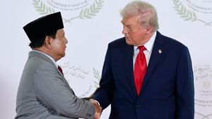 Prabowo Akui Masuk Board of Peace Donald Trump untuk Kemerdekaan Palestina