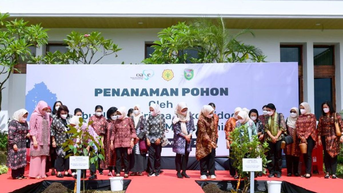 Iriana Jokowi Tanam Pohon Manggis, Wury Amin Tanam Jambu Biji di Halaman Rumdin Gubernur Sumsel