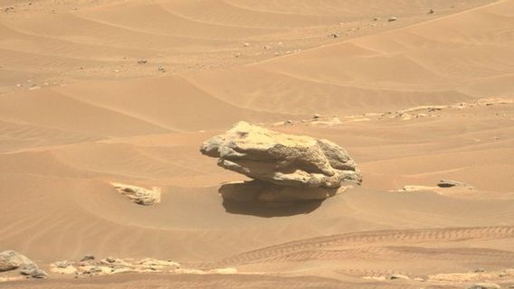 忍耐は火星のはしごや巨大なカエルのような石の配列を見つける