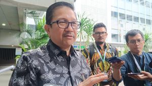 Bos Freeport soal Pencarian Lima Pekerja Terjebak Longsor: Mohon Doa Semuanya...