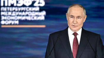 プーチン:ロシア経済はもはや石油・ガス部門に依存していない