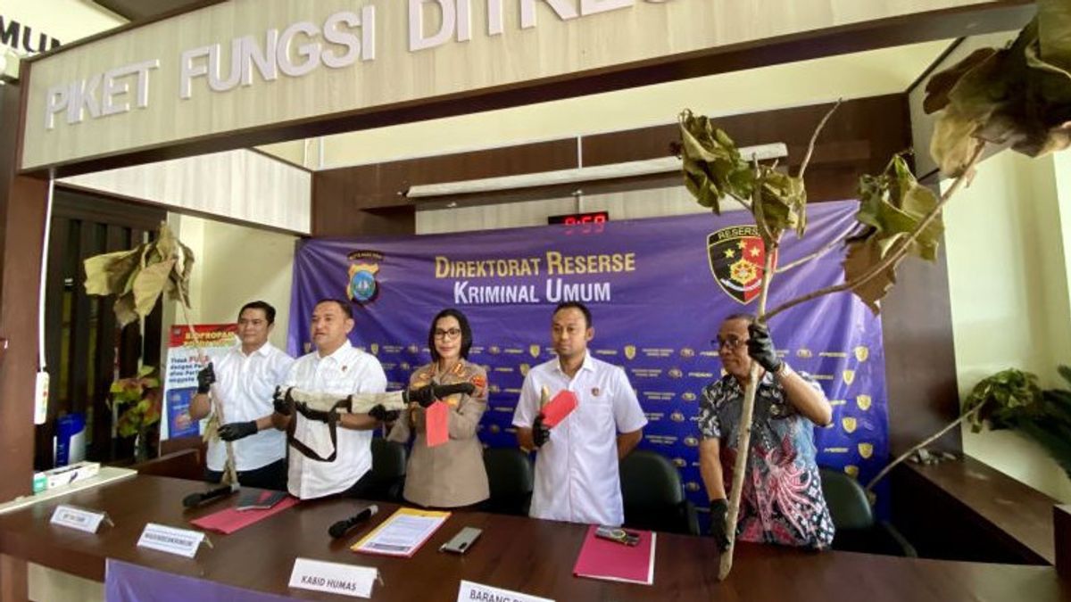 Pelaku Penebangan 300 Pohon di Jalan Jenderal Sudirman Batam Ditangkap