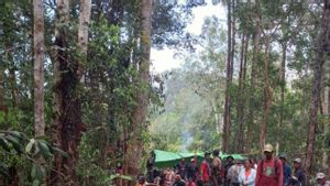 Alwi yang Hilang Sepekan Lebih di Hutan Perbatasan RI-Malaysia Belum Juga Ketemu