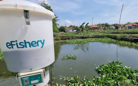 KoinWorks Gandeng eFishery untuk Bantu Permodalan Pembudidaya Ikan