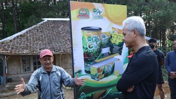 Empowering Young People At The Foot Of Mount Gede, Ganjar Initiates A GP Merk Tea Factory