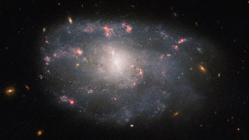 哈勃望远镜捕捉到曾经拥有超新星的不规则螺旋星系