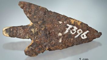 Mata Panah yang Terbuat dari Meteorit 3.000 Tahun Lalu Ditemukan di Swiss