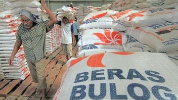 これがBulogが来年に100万トンの米を輸入する理由であることが判明しました