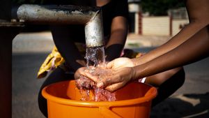 Mandi hingga Masak, Berapa Jumlah Ideal Air Bersih yang Dibutuhkan Setiap Orang?