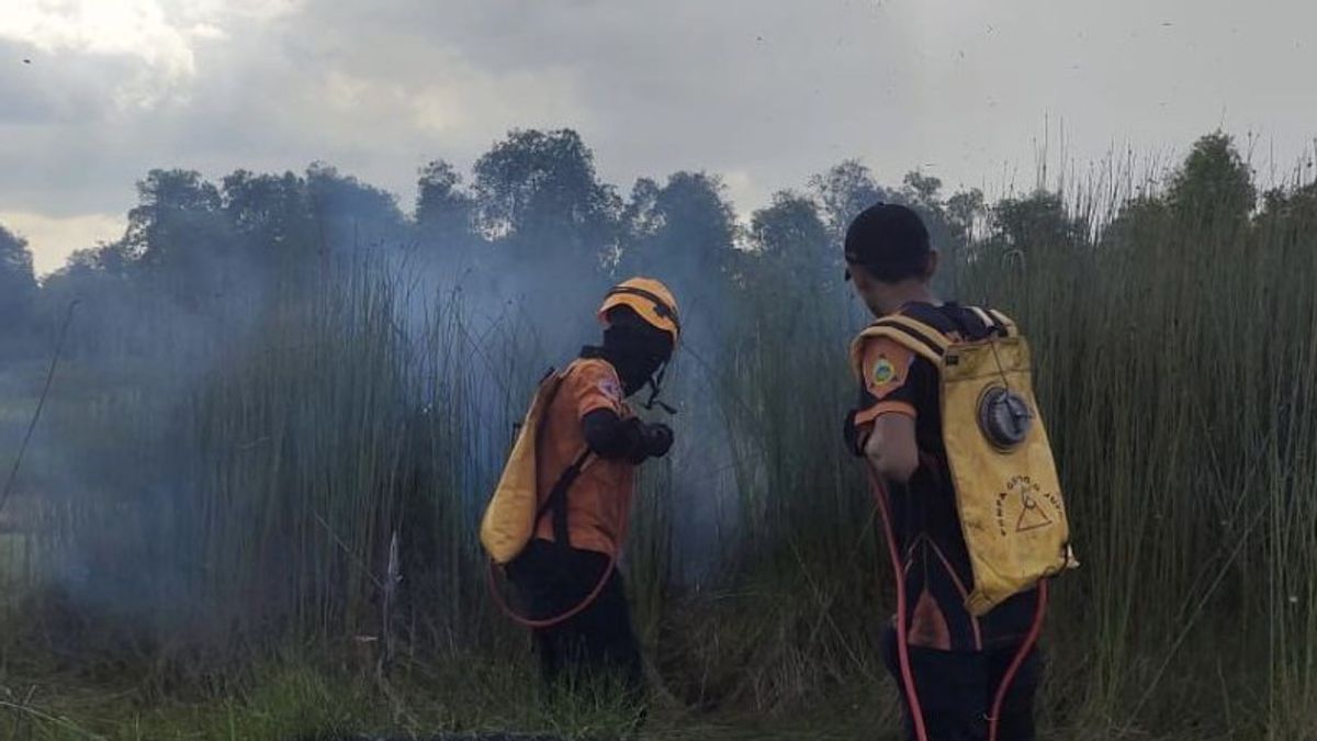 South Kalimantan Asks For Helicopter Assistance To Overcome Forest And Land Fires