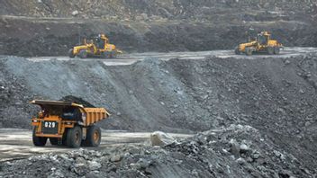 Muhammadiyah Forms Two Companies To Manage Mining