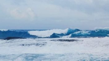 BMKG: Ada Potensi Gelombang Tinggi 4 Meter di Laut Natuna hingga 18 Februari
