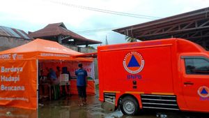 BNPB Catat 166 Korban Meninggal Akibat Banjir Bandang di Sumut 