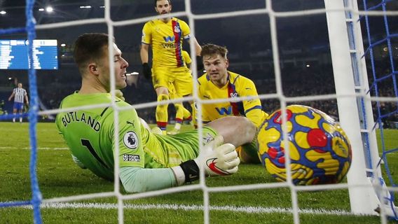 Brighton Avoids Losing Thanks To Crystal Palace Defender's Own Goal