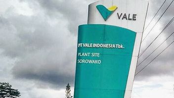 Produksi Nikel Vale Naik 18 Persen, Optimistis Capai Target