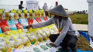 Bapanas Pastikan Stok Pangan Aman Jelang Ramadan–Idulfitri