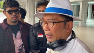 PKS Akui Dapat Tawaran dari KIM Ajukan Cawagub Pendamping Ridwan Kamil