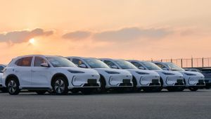 Geely Masuk 15 Besar, EX5 dan EX2 Jadi Andalan Dongkrak Penjualan