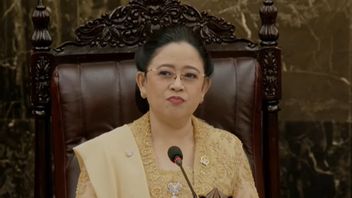 Puan Maharani:有弹性人力资源将成为印度尼西亚进步的驱动力