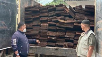 18 立方米梅兰蒂木材从廖内生物圈保护区被 Lhk 部团队没收