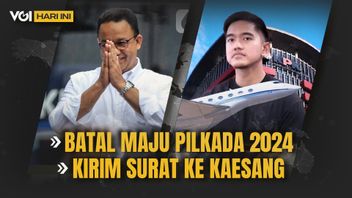 VOI Today: Anies Baswedan's Hope In The 2024 Pilkada, Kaesang Will Be Called By The KPK Regarding Private Jets