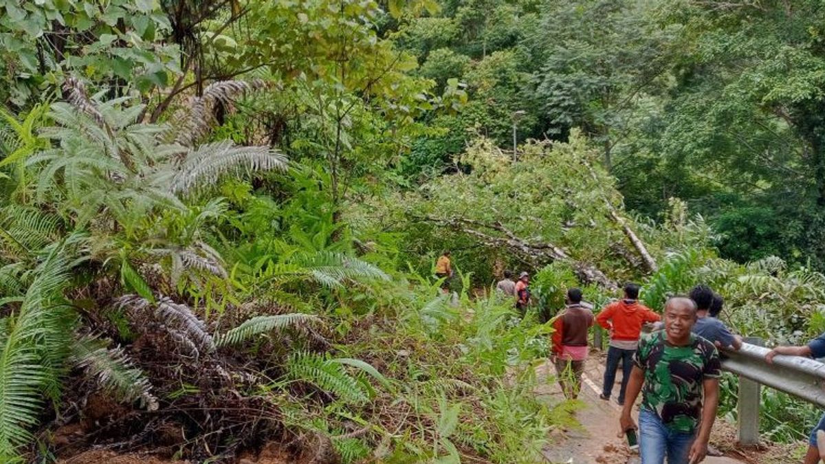 Bad Weather, Longsor And Tumbanging Tree Occurs In Padang