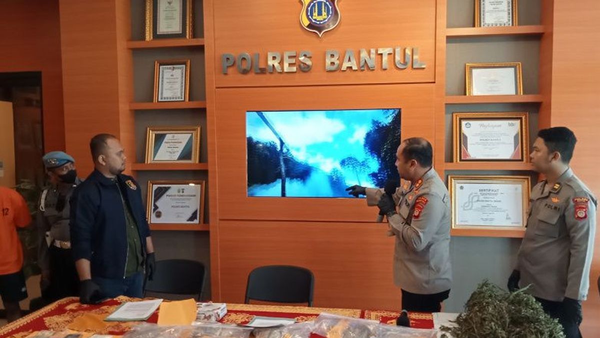 Polisi Musnahkan 30 Ribu Pohon Ganja di Aceh