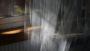 Tekan Angka Kasus Malaria, Pemkab Jayapura Bagikan 124.640 Kelambu 
