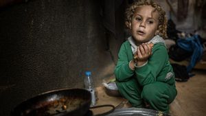 Ireland Urges Israel To Open Block Aid Delivery To Gaza