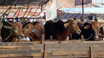 南ジャカルタ市政府が犠牲の動物の屠殺を監督するために139人の役員を配置