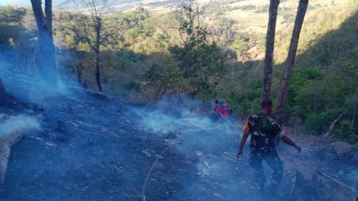 En raison du nettoyage des terres, la zone forestière protégée du village de Serage central de Lombok a pris feu