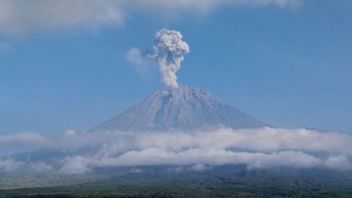Mount Semeru Erupted 3 Times with Eruptions Up to 1 Kilometer