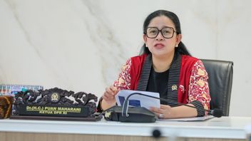 Puan demande au gouvernement d'enquêter et d'évacuer des citoyens détenus au Myanmar